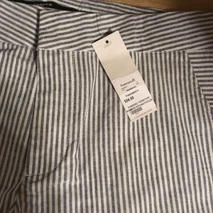 Francesca’s Summer Shorts